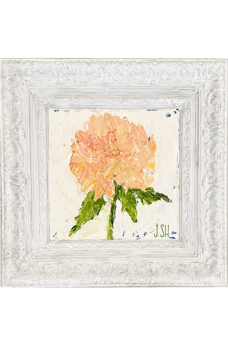 Chrysanthemum Flower for joomla site